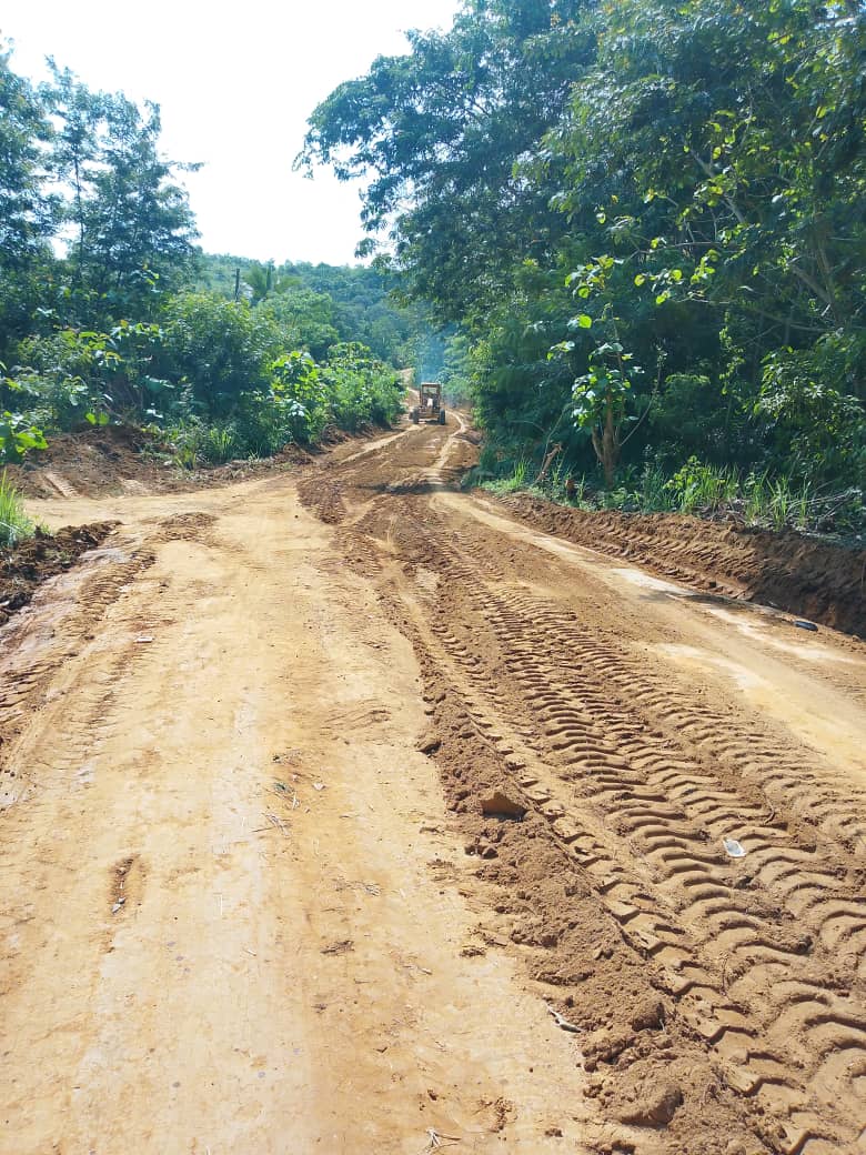 Expertise confirmée